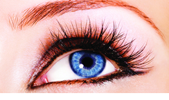 Eyes