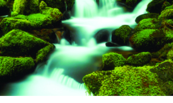 Body & soul Treatments